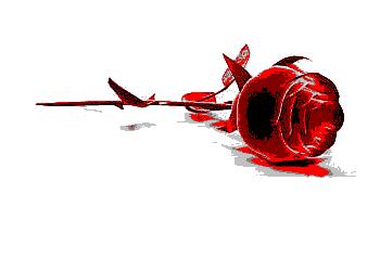 ..................................