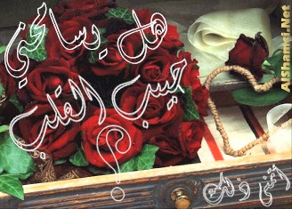 ............................................................................................